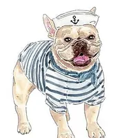 Bosun