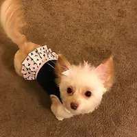 Chloe Sue
