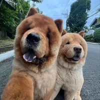 Churro & Toffee