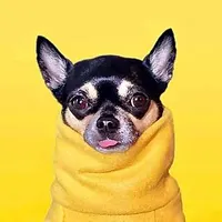 Dolly Pawton