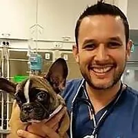 Dr Gerardo Poli