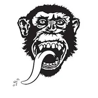 Richard R Rawlings