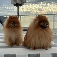 Leo & Lua