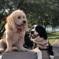 RALPHIE & RUBY