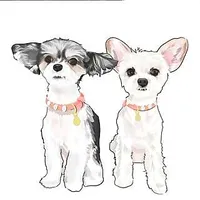 Tinkerbelle & Belle