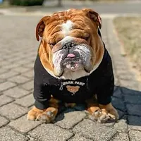 Tonka