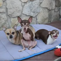 TurboRoo